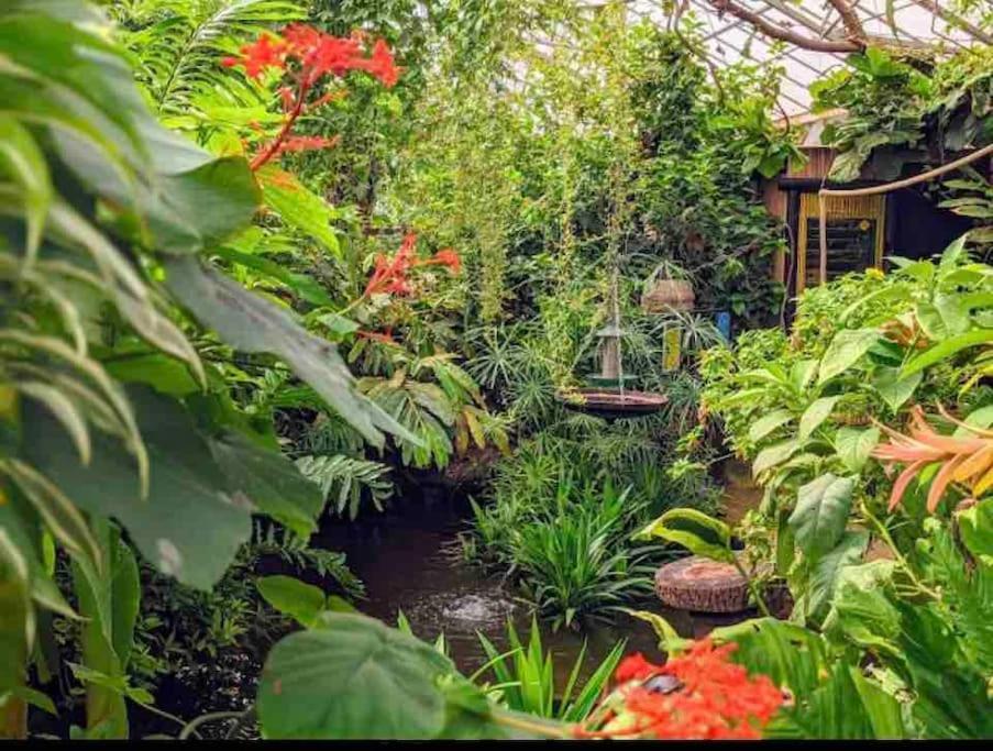 Hidden Gem !Stunning 3 Bedroom Home In Sheffield Handsworth Luaran gambar